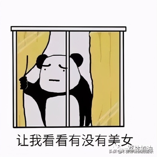 大白菜u盤裝系統(tǒng)怎么選