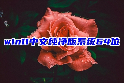 win11預覽版純凈下載 win11中文純版系統64位下載windows11免激活系統鏡像文件下載