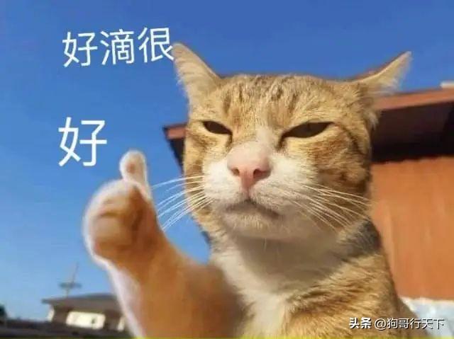 大白菜u盤裝系統進入引導