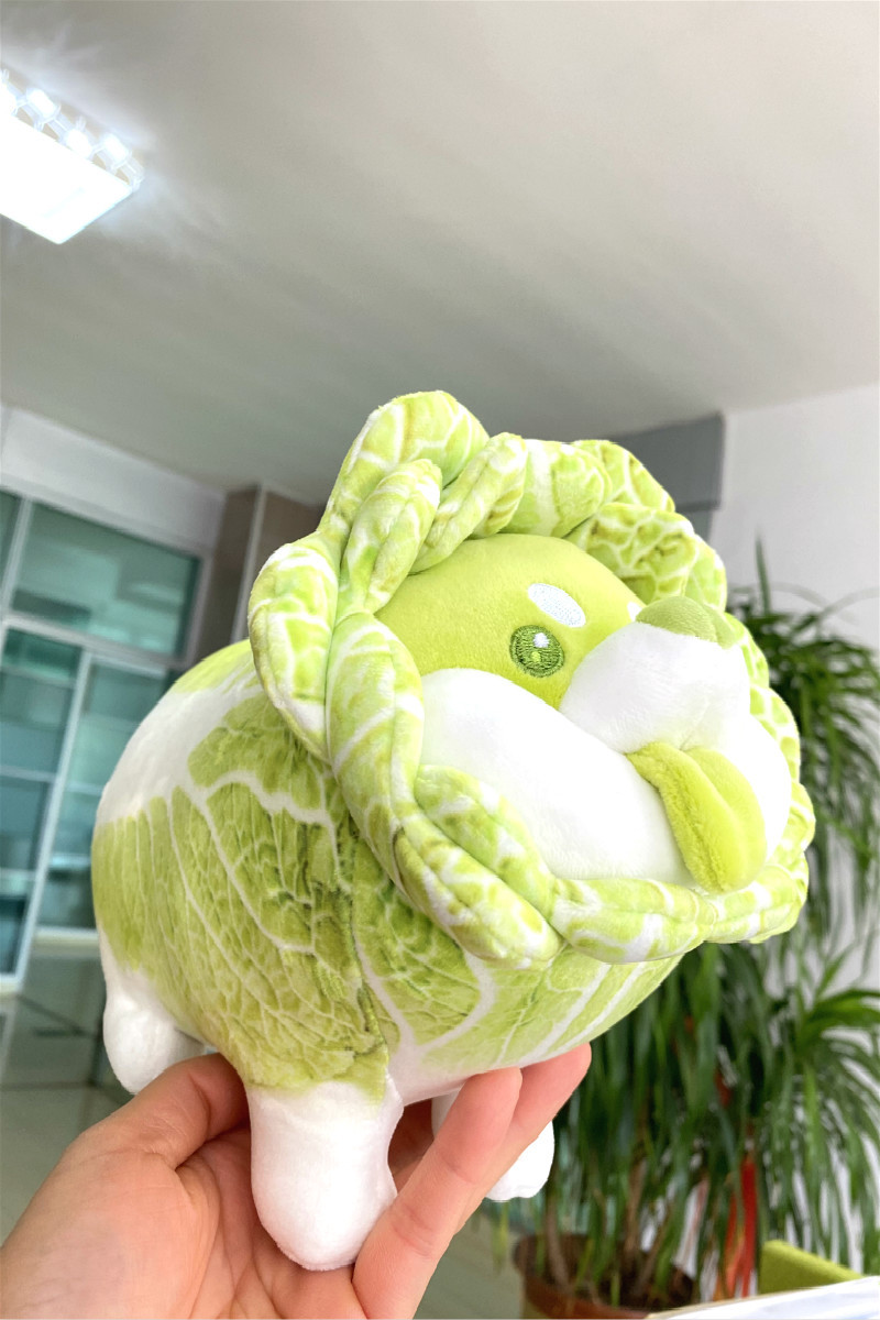 電腦系統崩了怎么用u盤裝