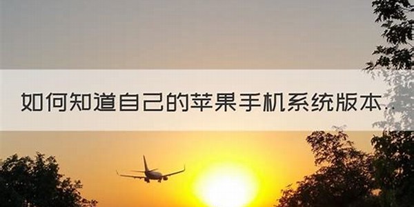 mac怎么查系統版本號i 如何知道自己的蘋果手機系統版本