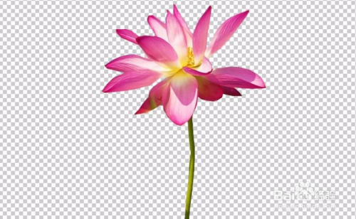 win10自帶3d摳圖教程 Win10自帶3D摳圖教程：釋放你的超能力！
