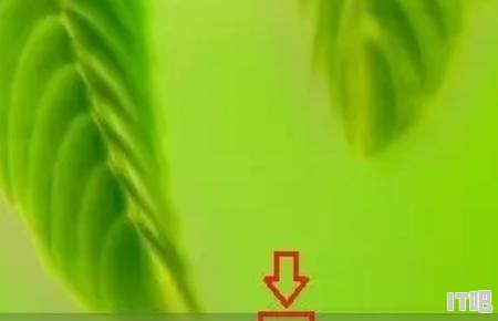 怎么查詢藍牙設備地址啊,組裝電腦如何查找藍牙設備