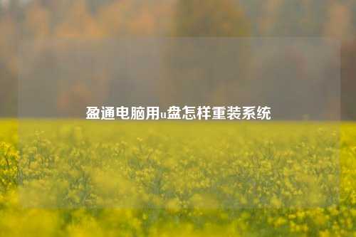 盈通u盤裝系統 英通電腦如何使用U盤重裝系統