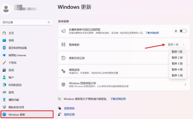 win11預覽版升級教程