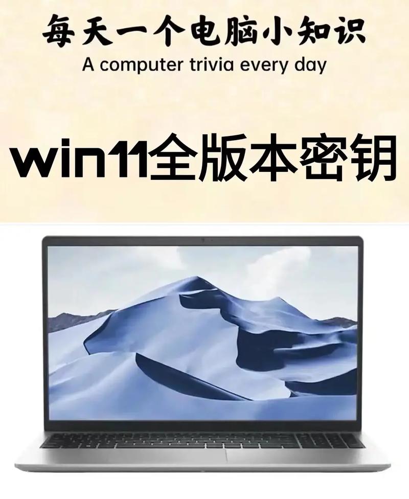 win11激活密鑰查詢
