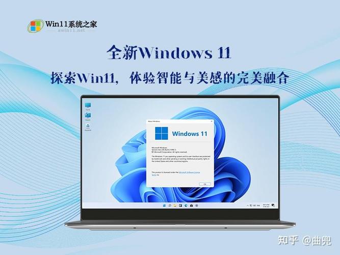 學設計需要win11專業版