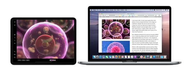 mac系統怎么查版本 蘋果macOS 10.15功能升級：告別32位應用，迎接新時代