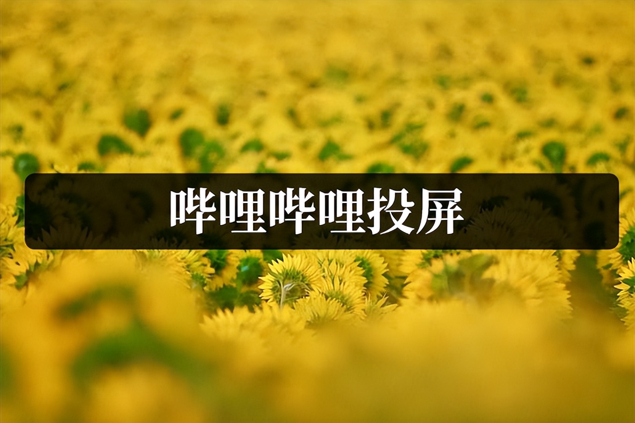 win11投屏教程 嗶哩嗶哩投屏教程：2種方法輕松實現不同場景下的投屏操作
